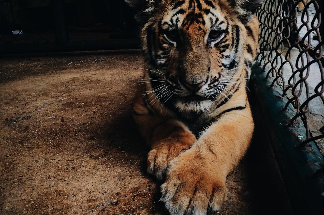 Ut laboriosam suscipit